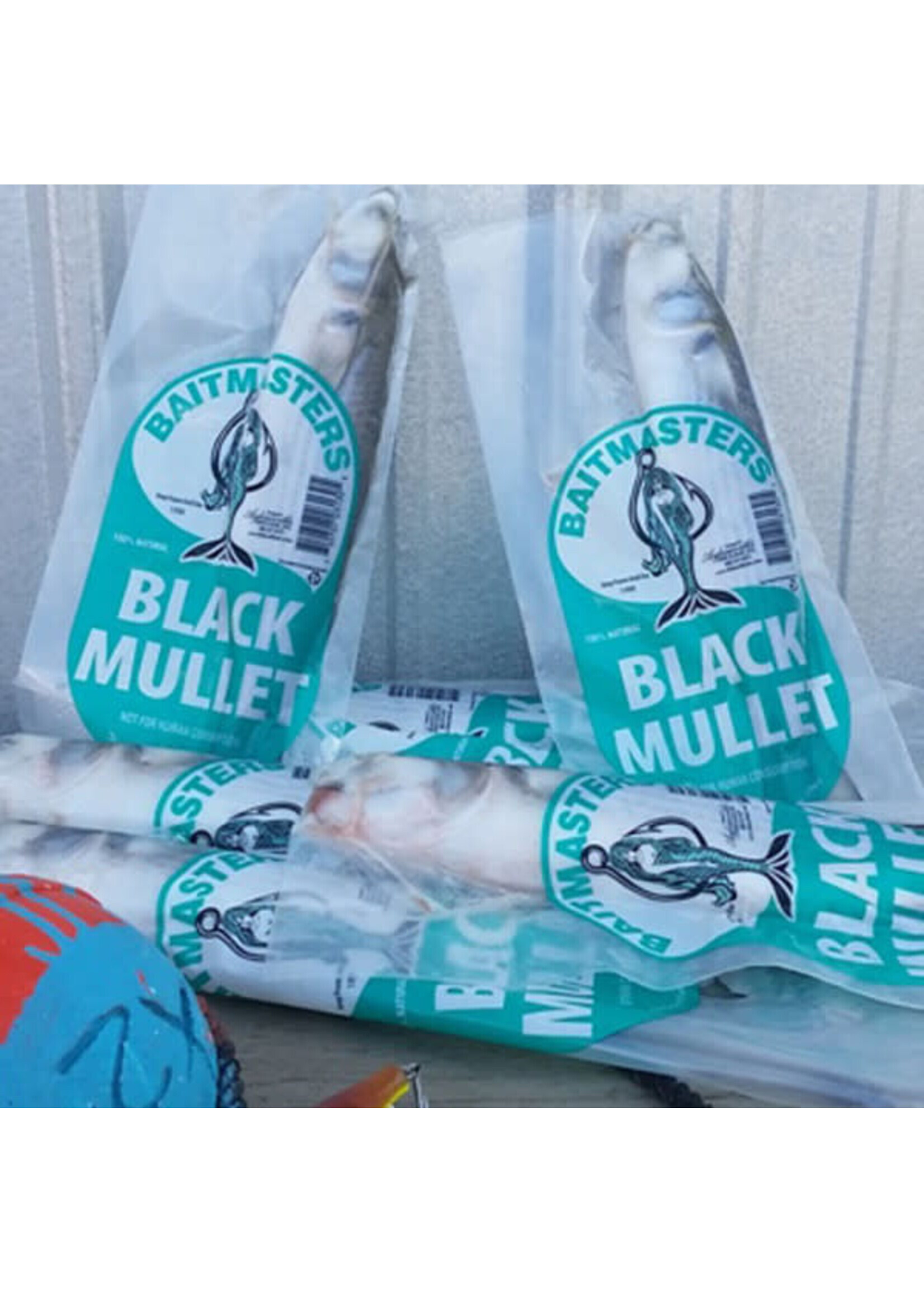 Baitmasters FULL CASE - Frozen Whole Black Mullet - 30 1pks