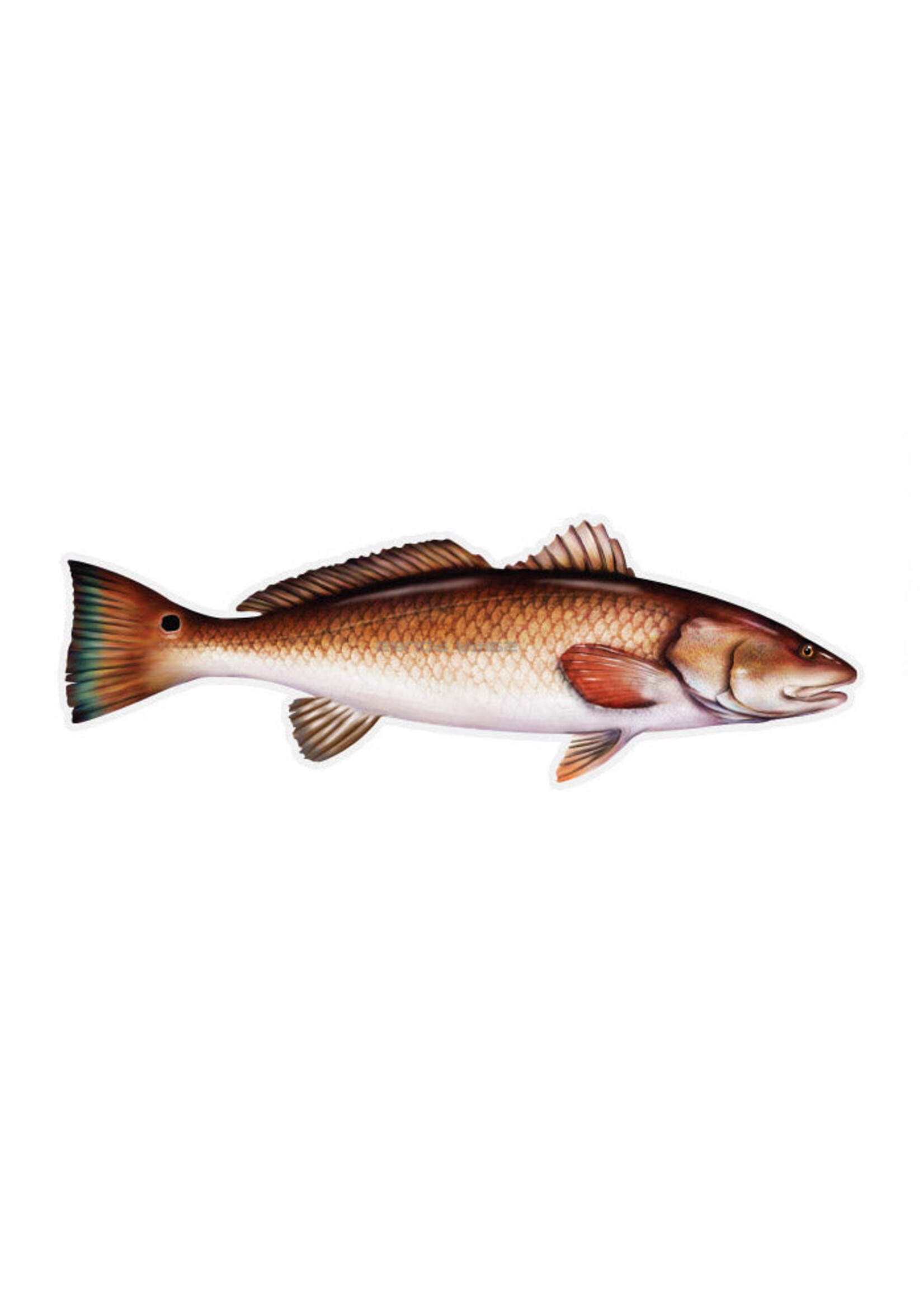 Salty Bones Redfish Profile Fish Decal Sticker, 4.5″ x 15.75″