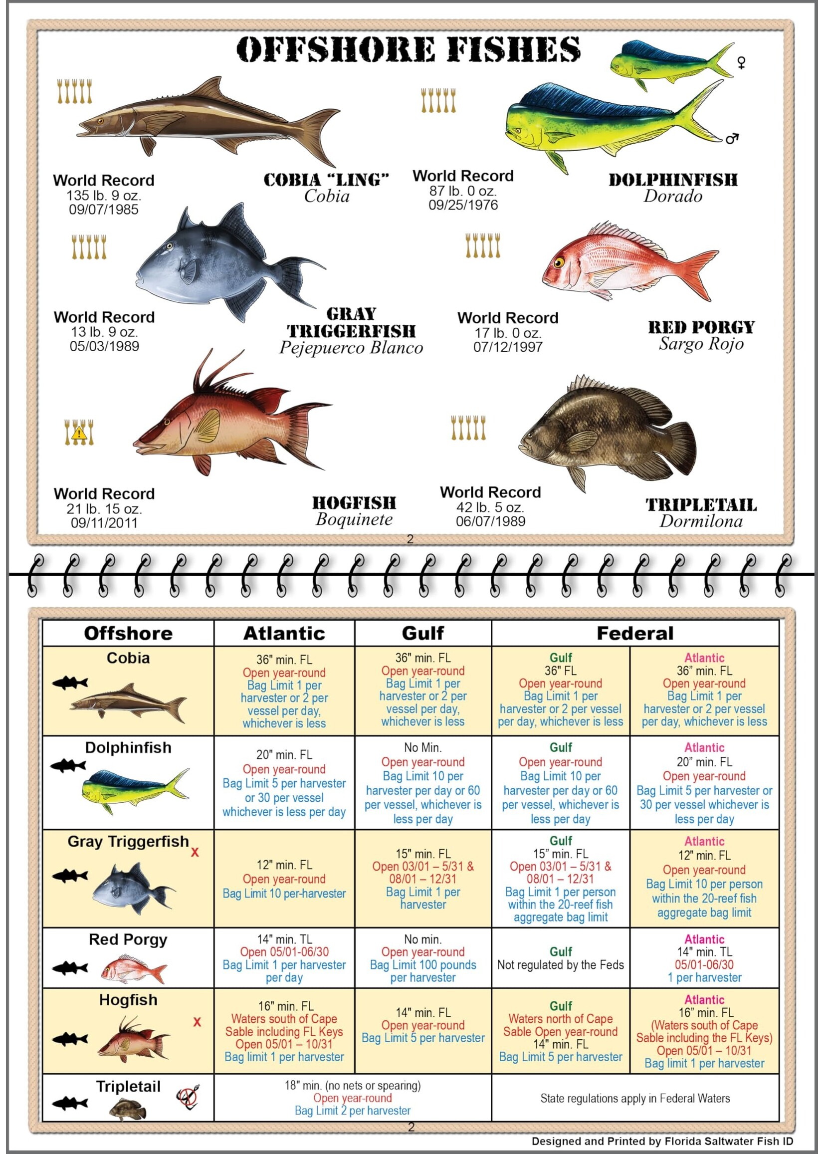 Salty Bones Salty Bones Fish Ruler Florida Lawstick 36"