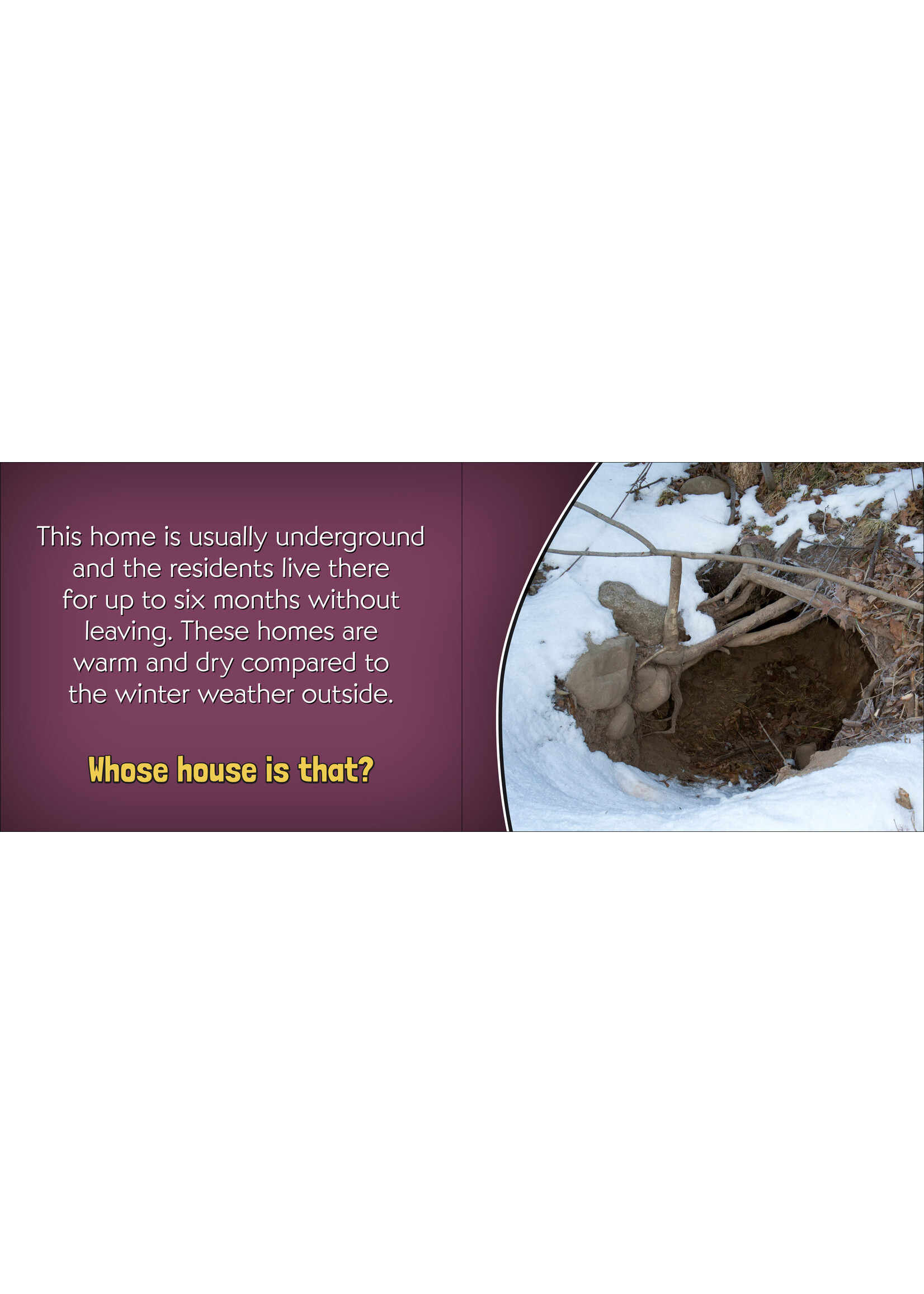 AdventureKeen Whose House Is That?