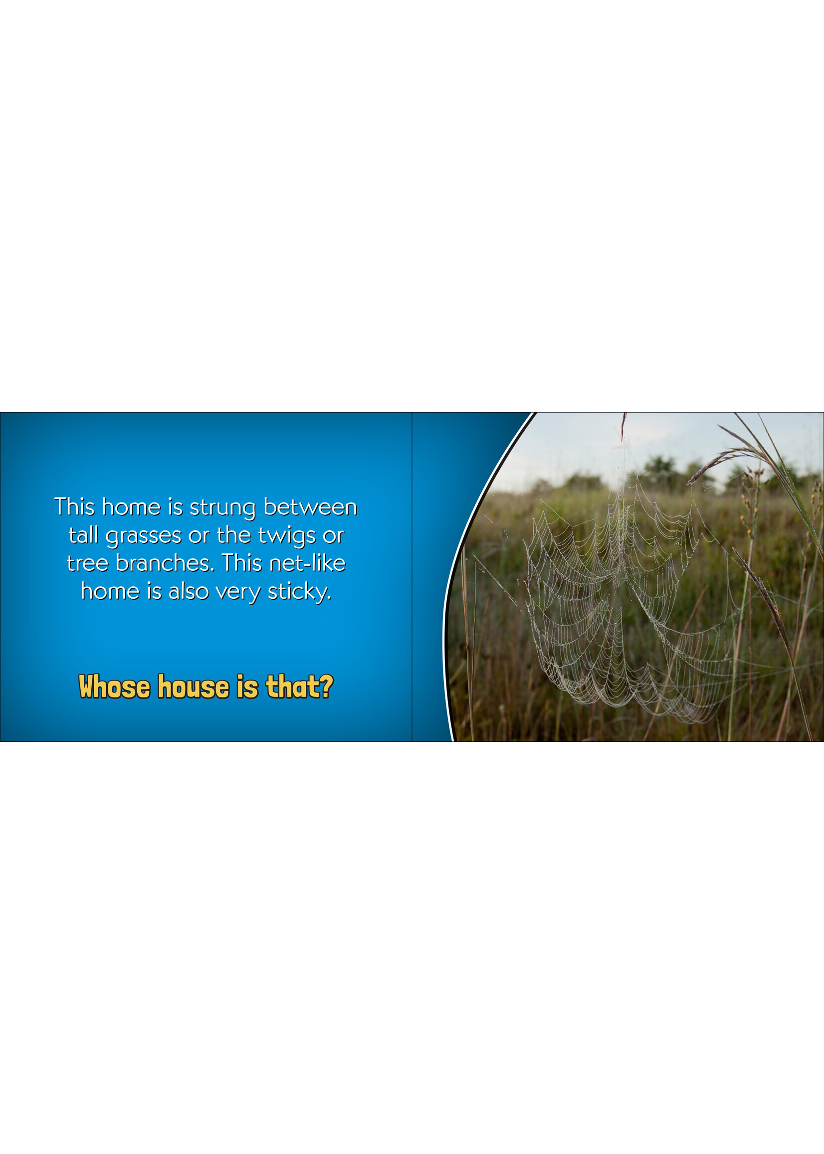 AdventureKeen Whose House Is That?