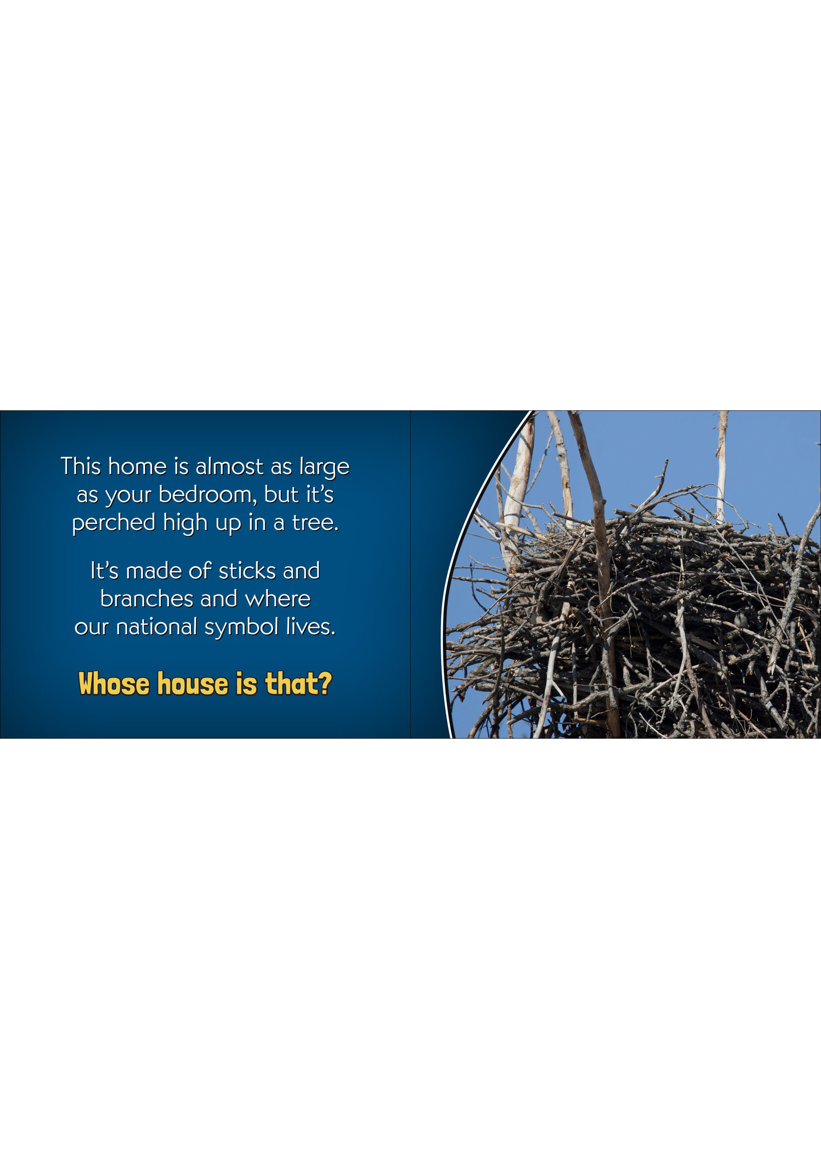 AdventureKeen Whose House Is That?