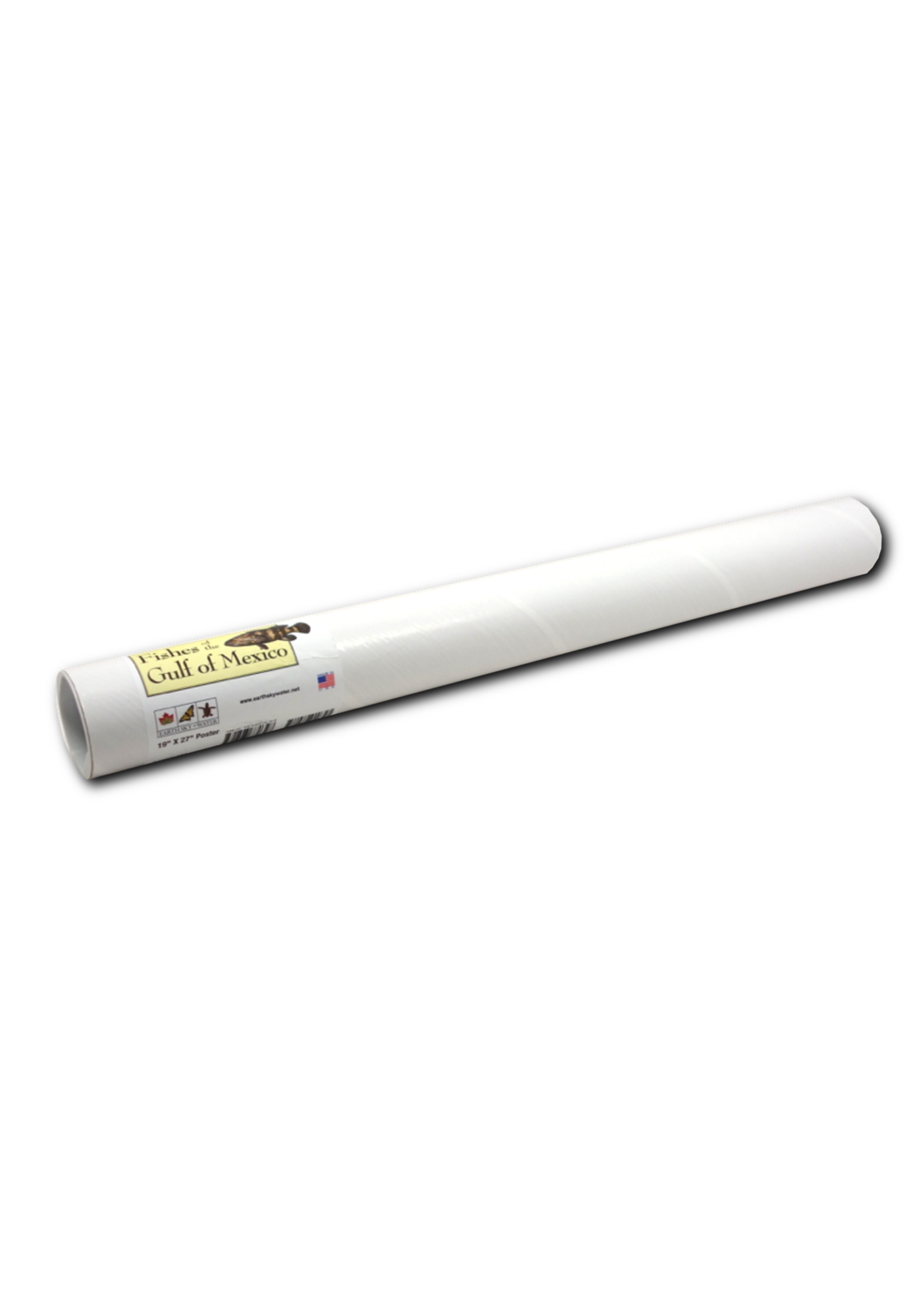 Earth Sky + Water POSTER Fishes of the Gulf of Mexico