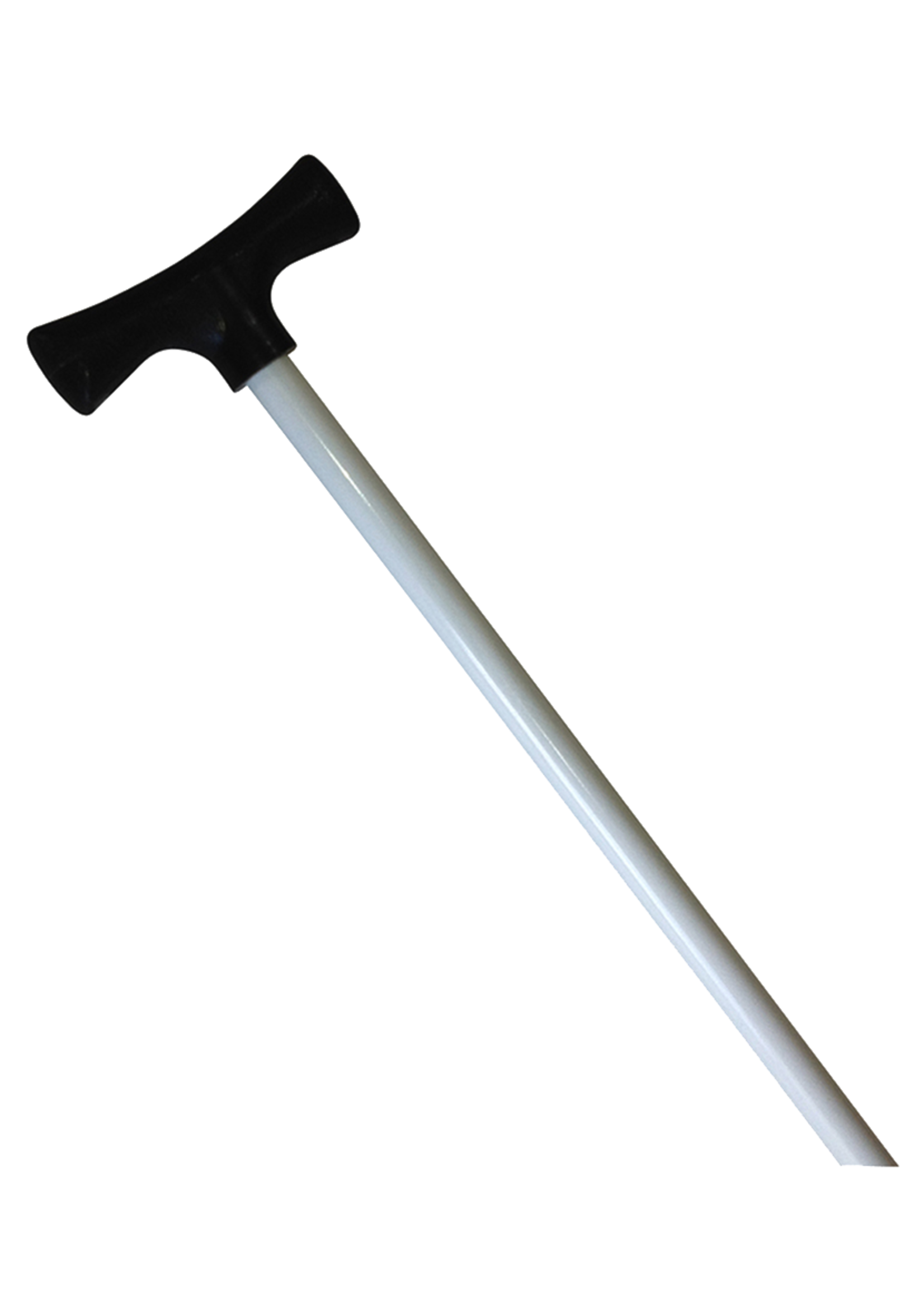 STICK IT ANCHOR PINS Stick It Pole - 8' Anchor Pin