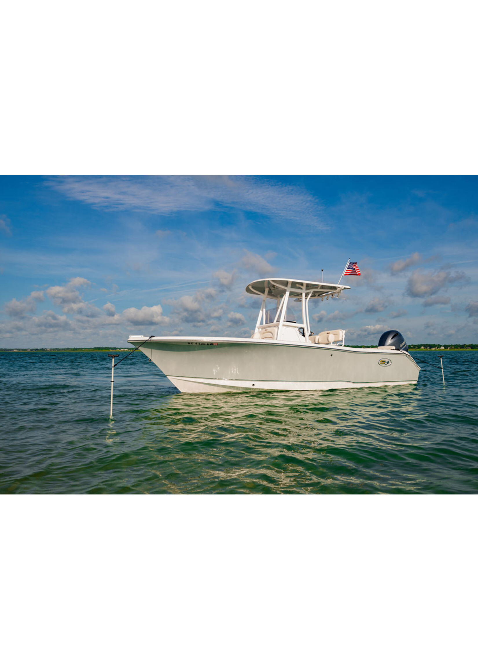 STICK IT ANCHOR PINS Stick It Pole - 10' Anchor Pin