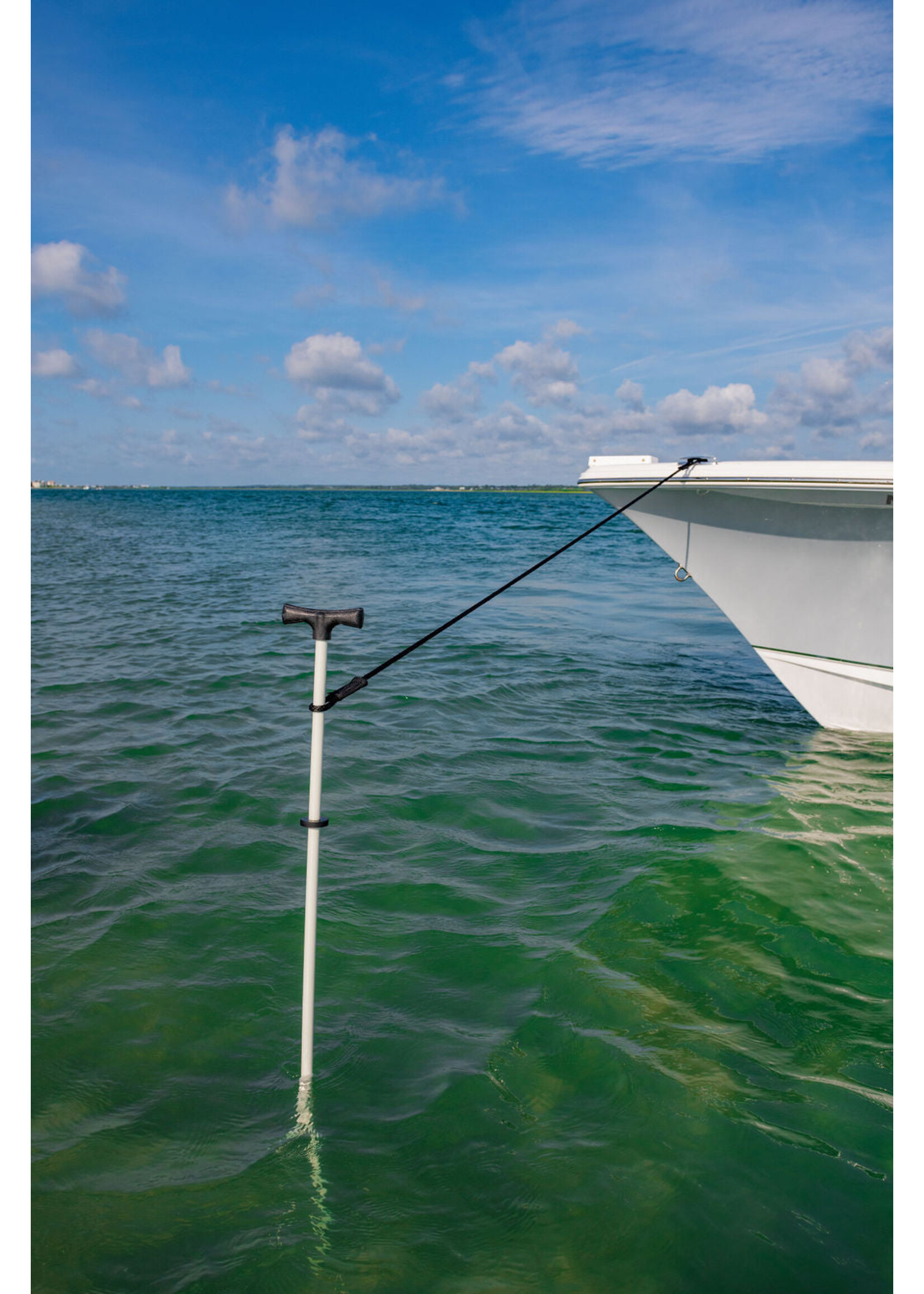 STICK IT ANCHOR PINS Stick It Pole - 10' Anchor Pin