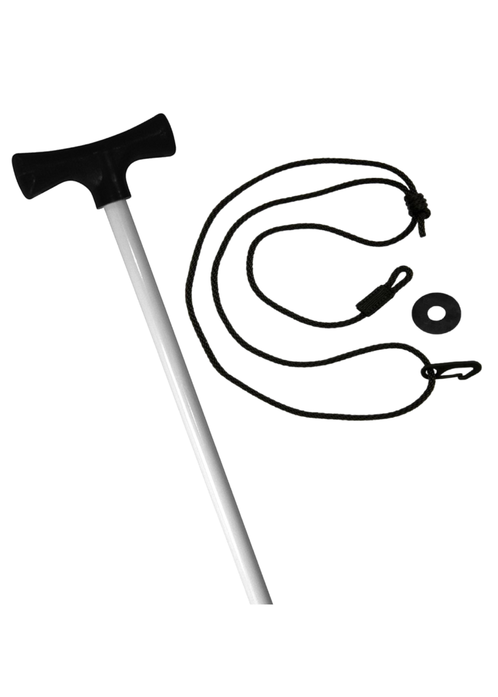 STICK IT ANCHOR PINS Stick It Pole - 5.5' Anchor Pin