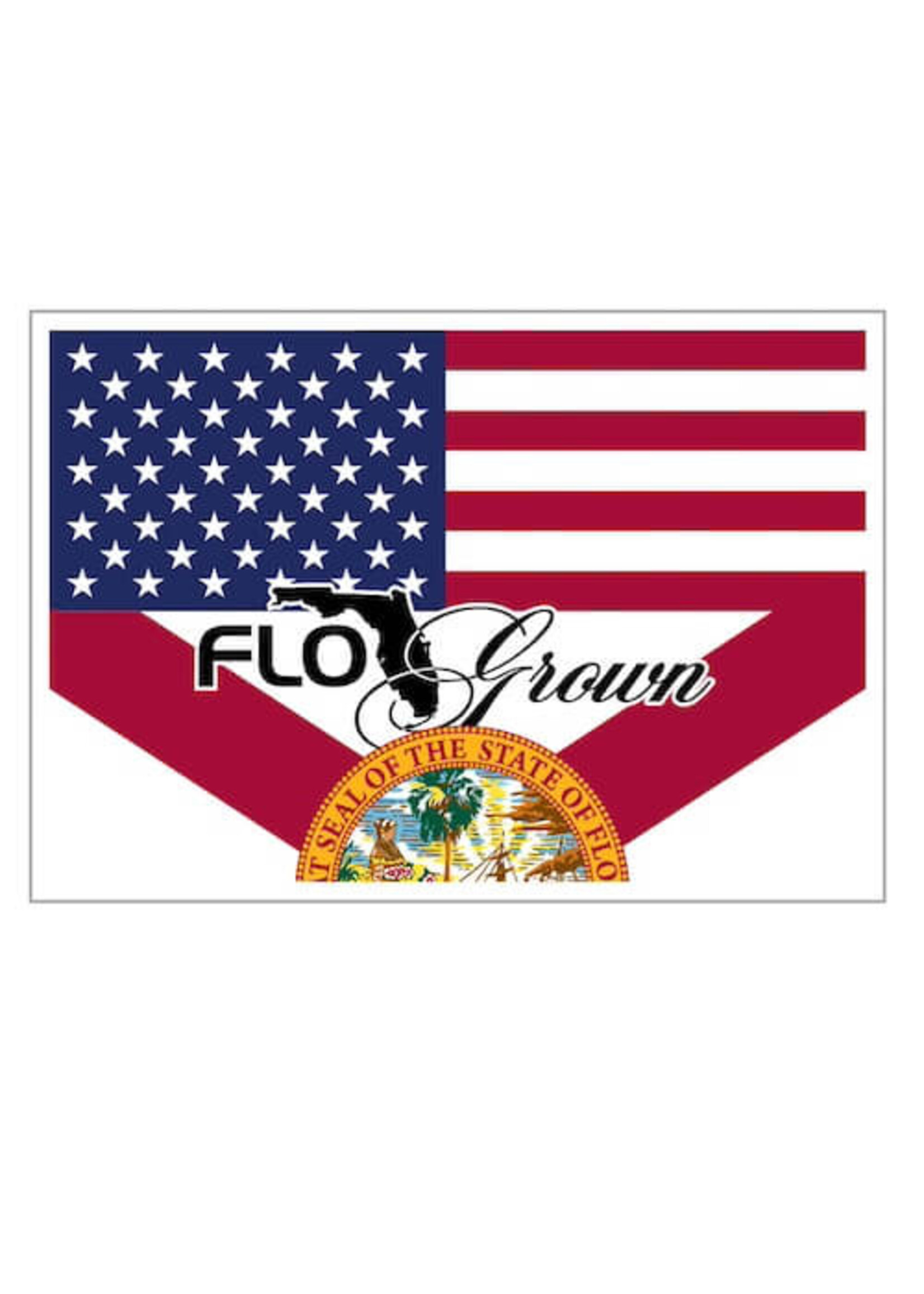 Flogrown Double Stack Flag Decal 3x5