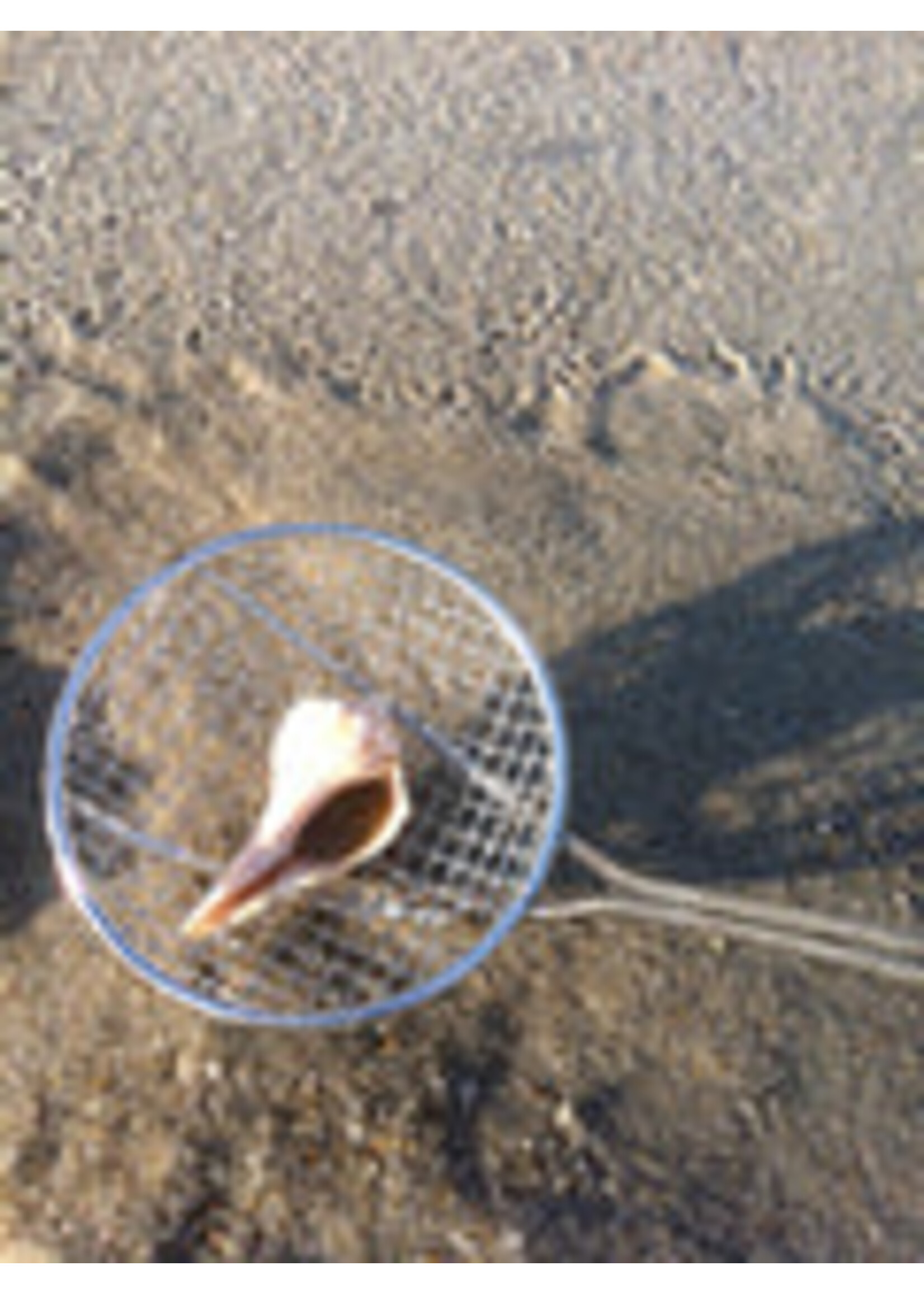 CaseBudi sand dipper adjustable