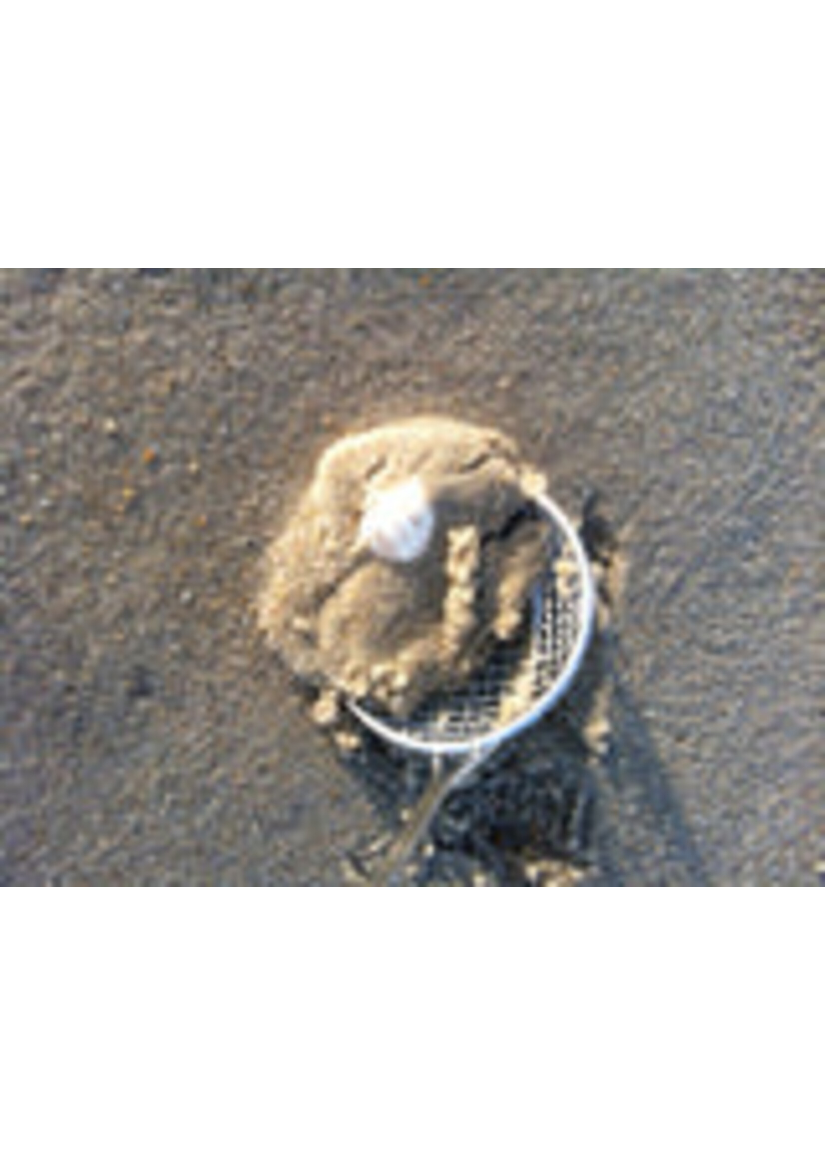 CaseBudi sand dipper adjustable