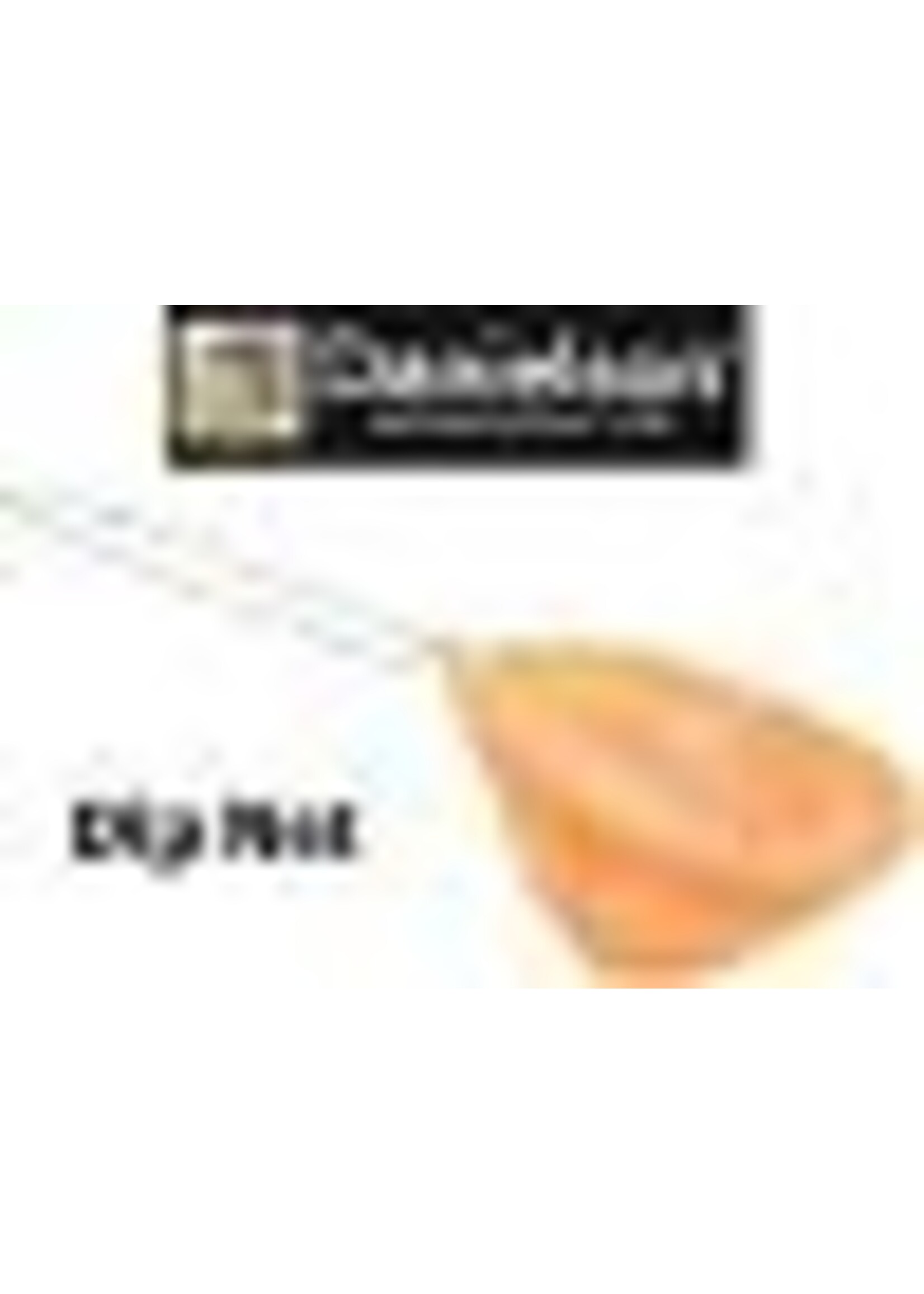 Danielson Danielson IFDN109C Net Dip orange
