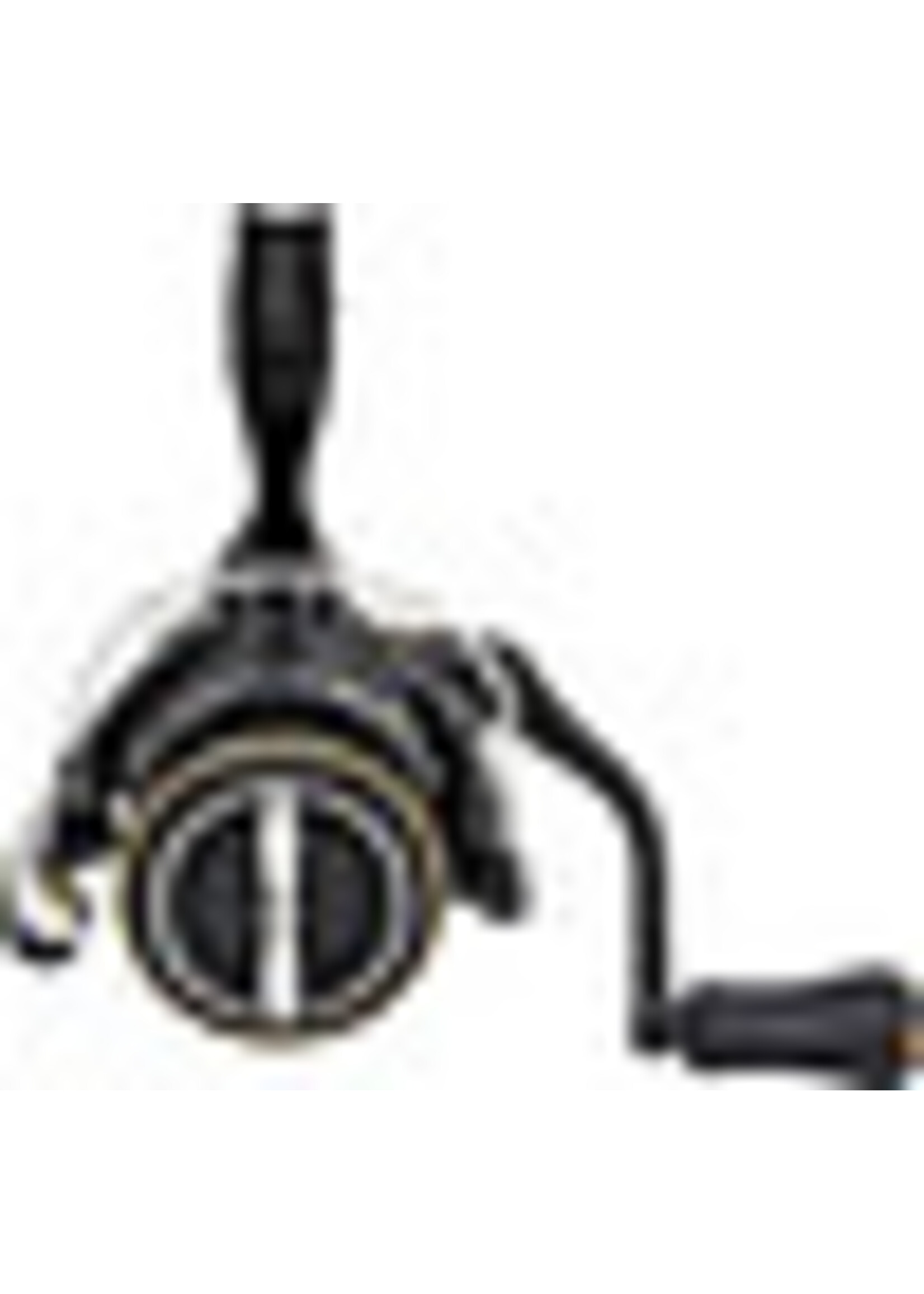 Shimano Shimano Sustain 4000XG FJ Spin