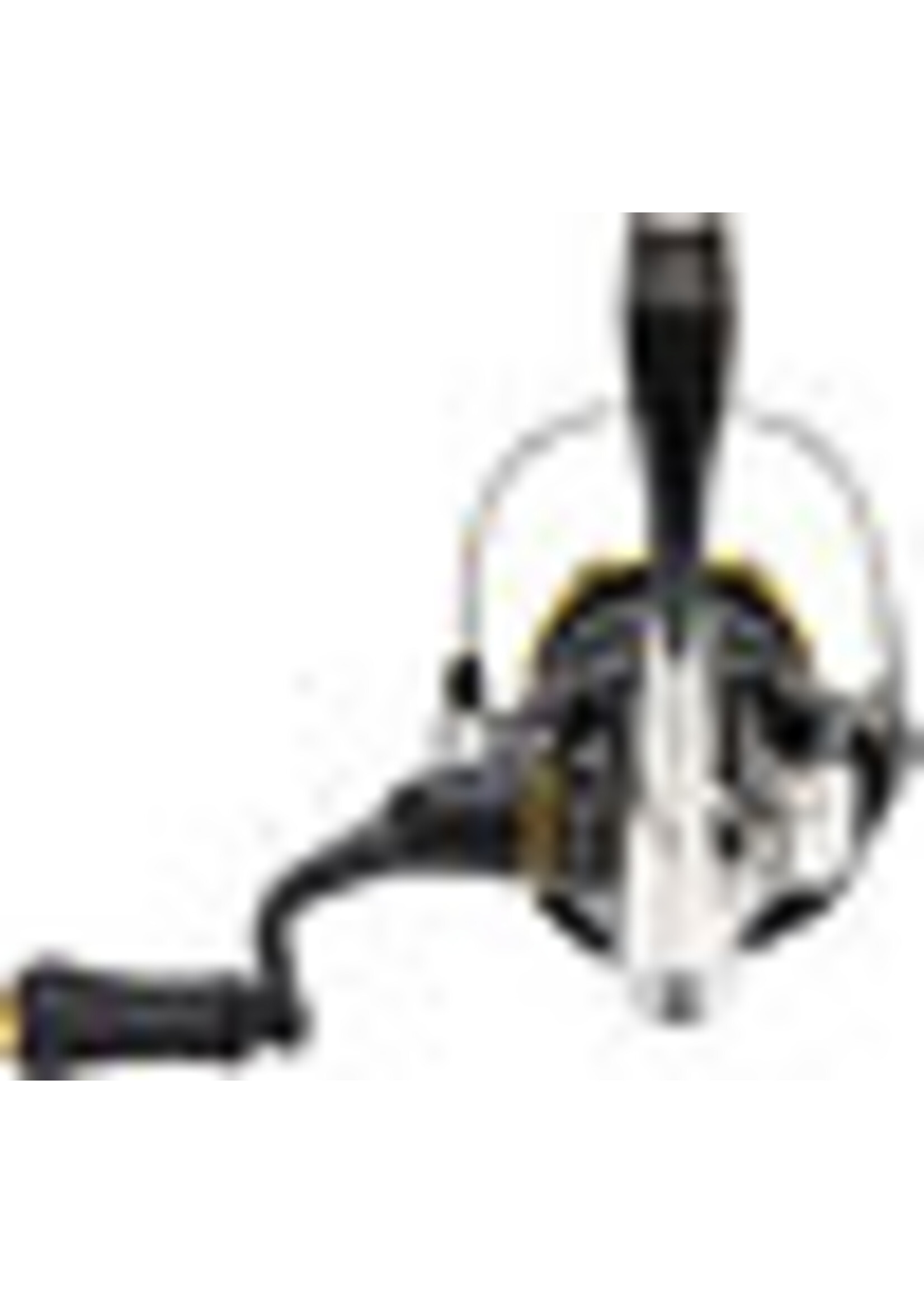 Shimano Shimano Sustain 4000XG FJ Spin