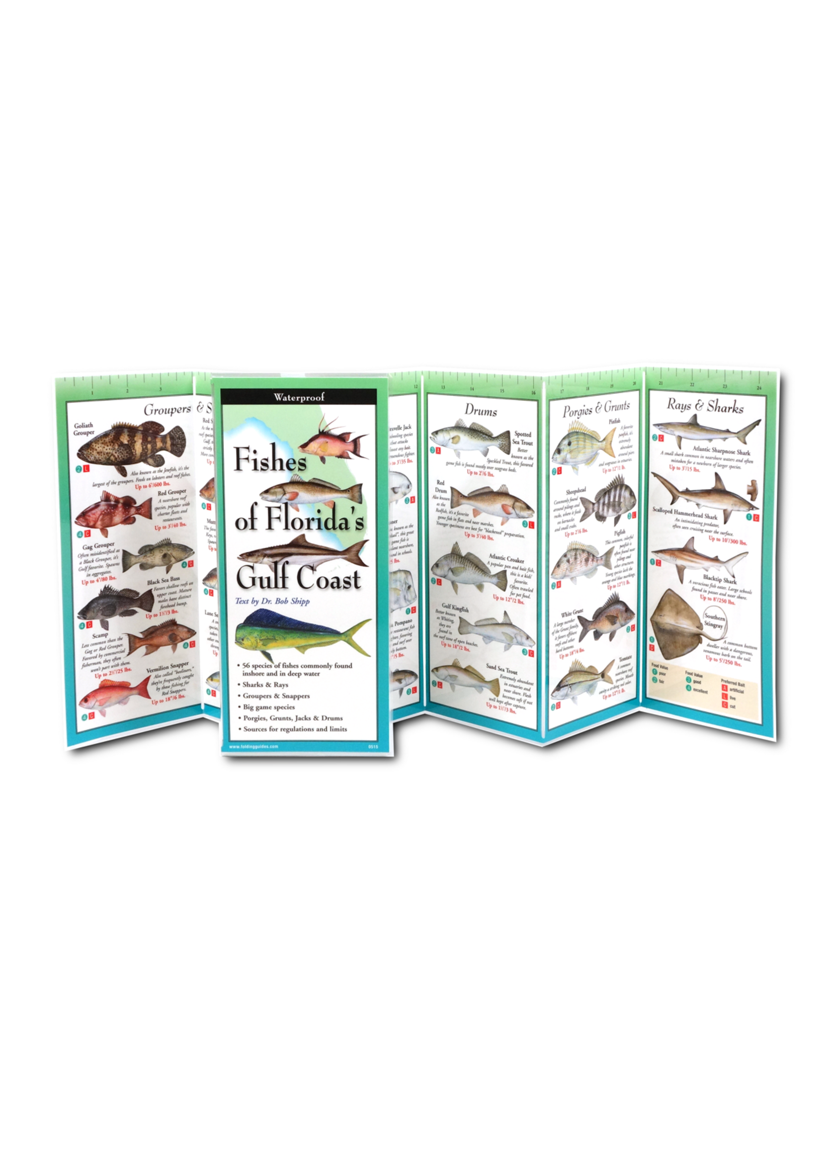 Fishes of Florida's Gulf Coast