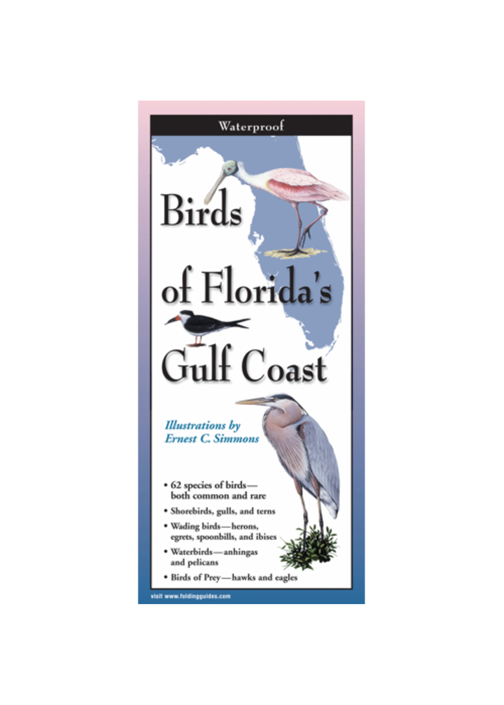 Earth Sky + Water Birds of Florida's Gulf Coast