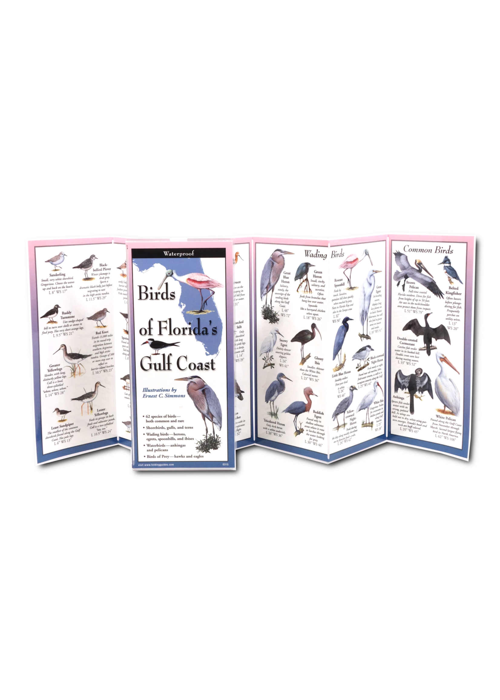 Earth Sky + Water Birds of Florida's Gulf Coast