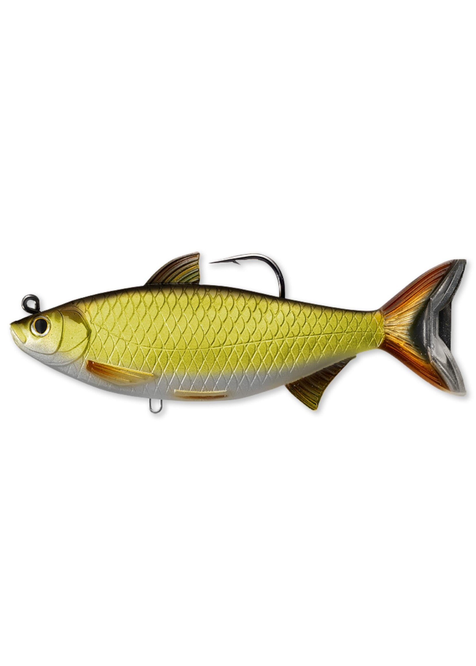 LiveTarget LiveTarget GSS140MS704 Golden Shiner