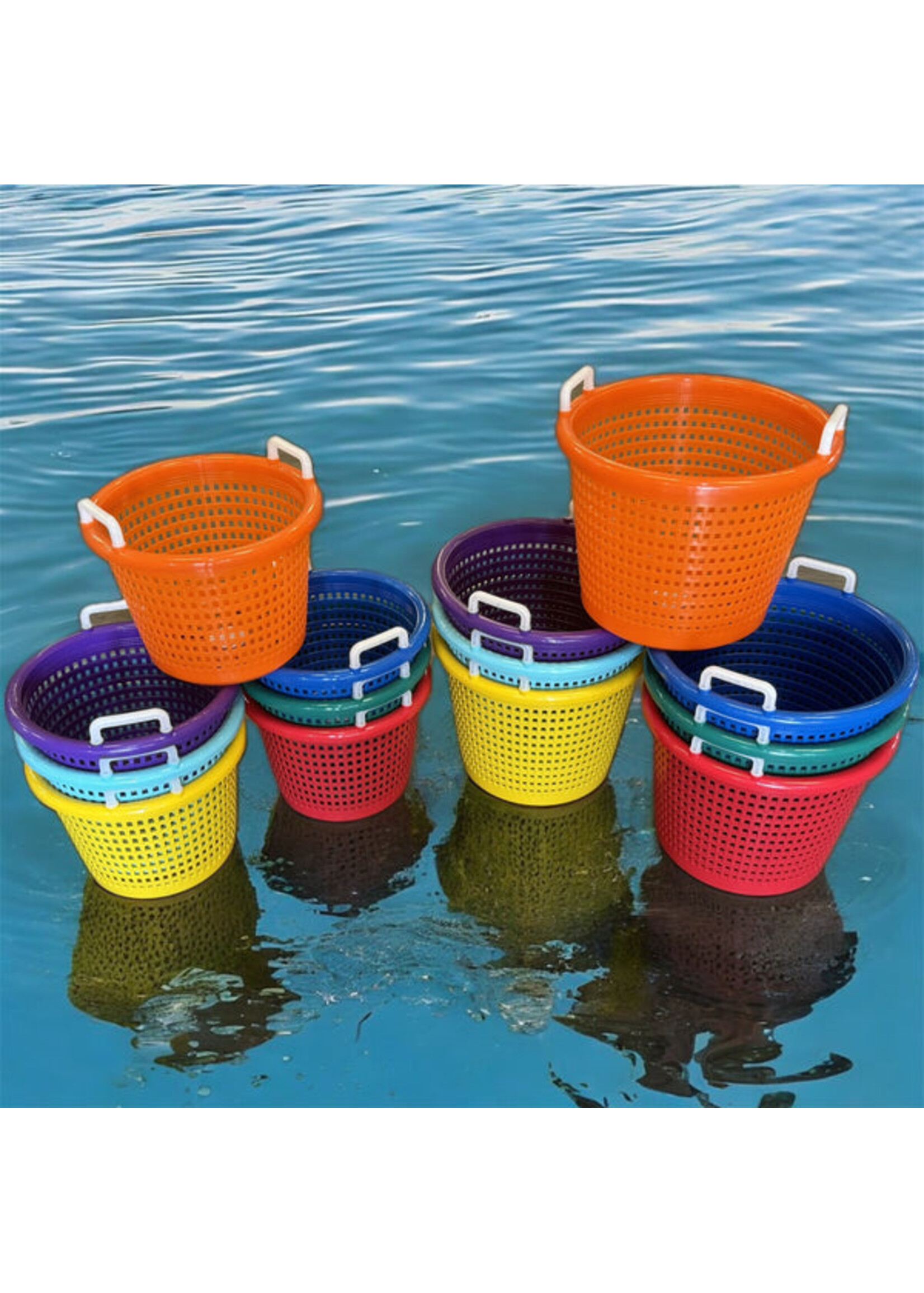 Lee Fisher Lee Fisher Fish Basket