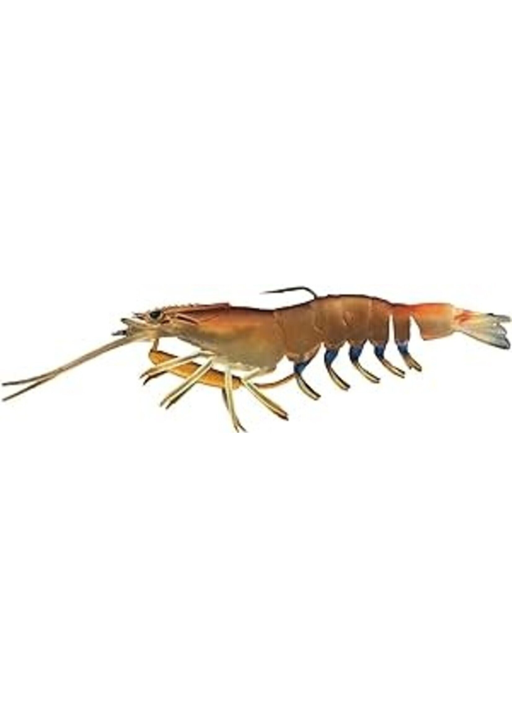 Chase Baits FP95-05 Flick Prawn