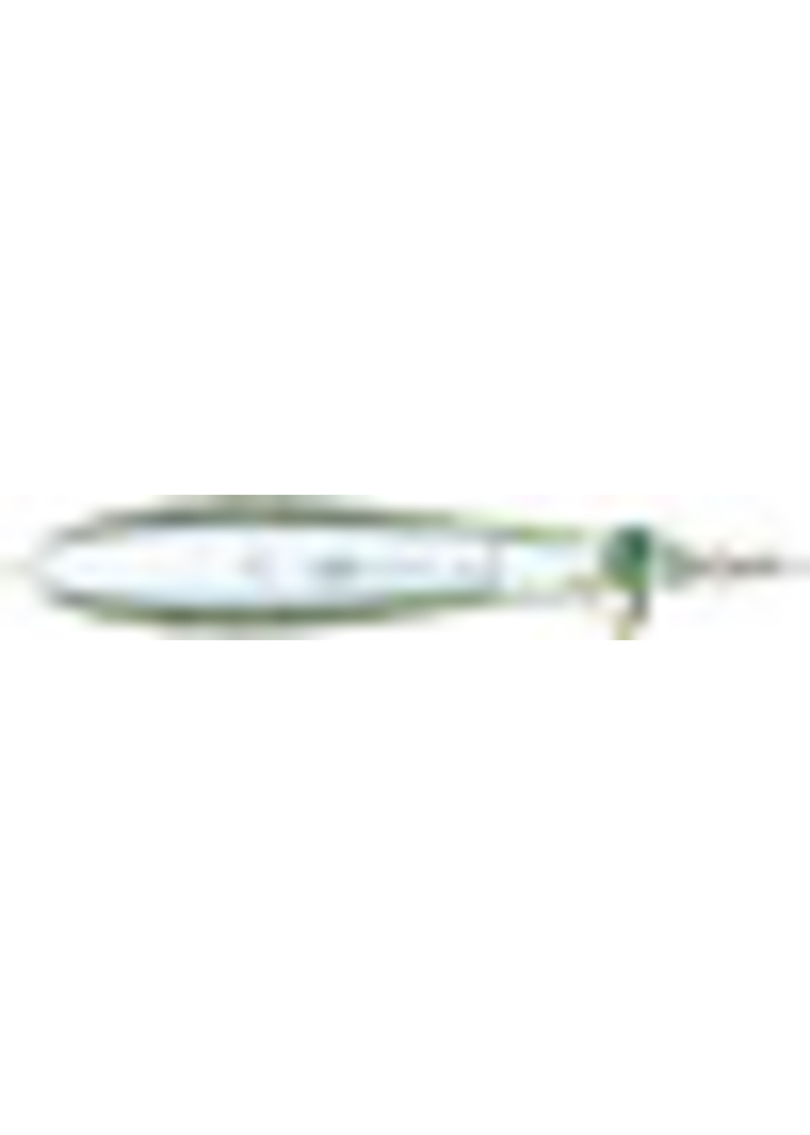 Berkley Berkley BHBSWCP105-PIL