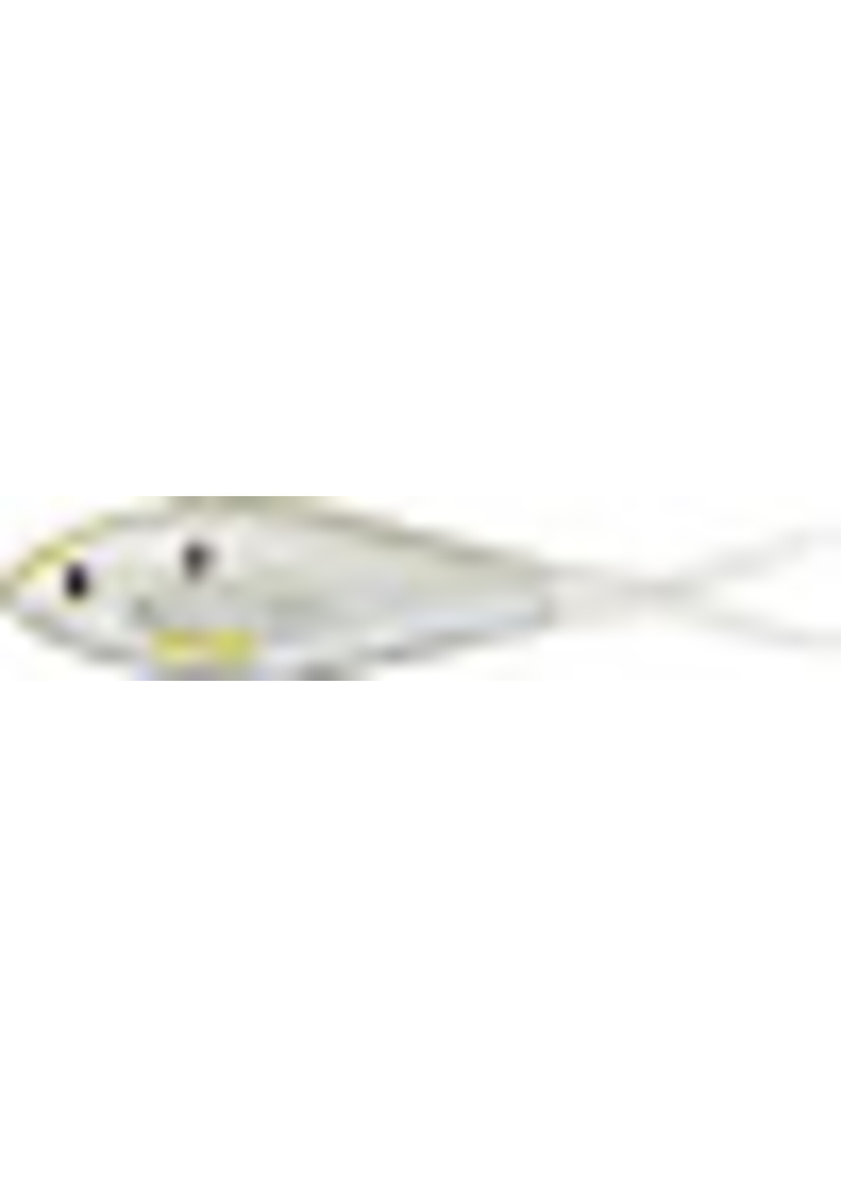 LiveTarget LiveTarget SSD110S134 Skip Shad  Silver/ Pearl