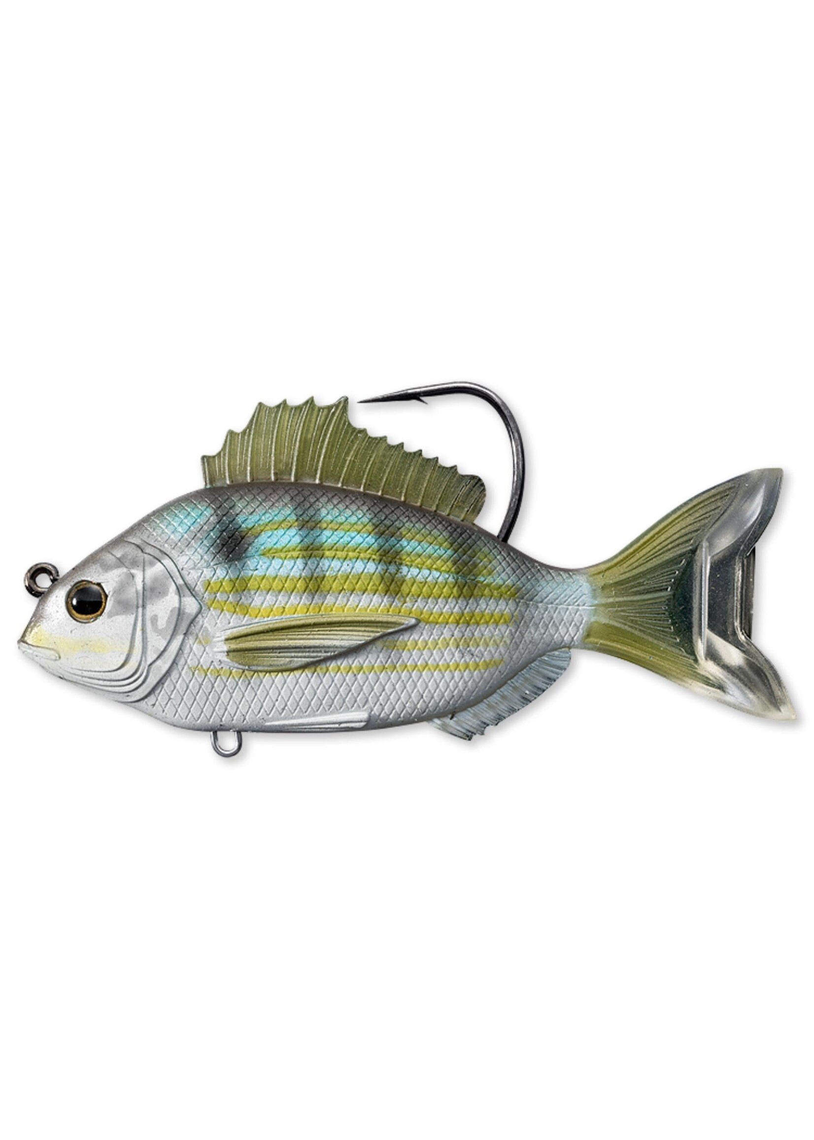LiveTarget LiveTarget Pinfish PFS105MS719