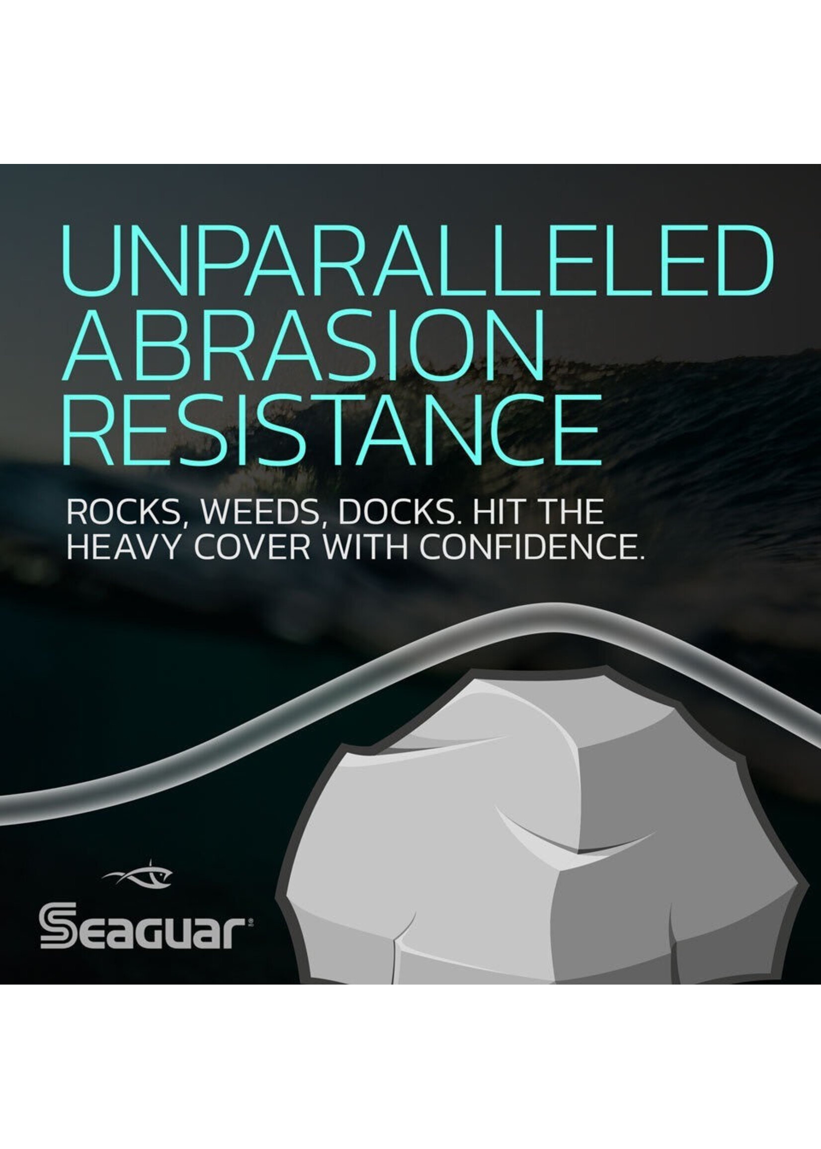 Seaguar Seaguar Inshore 20IS100