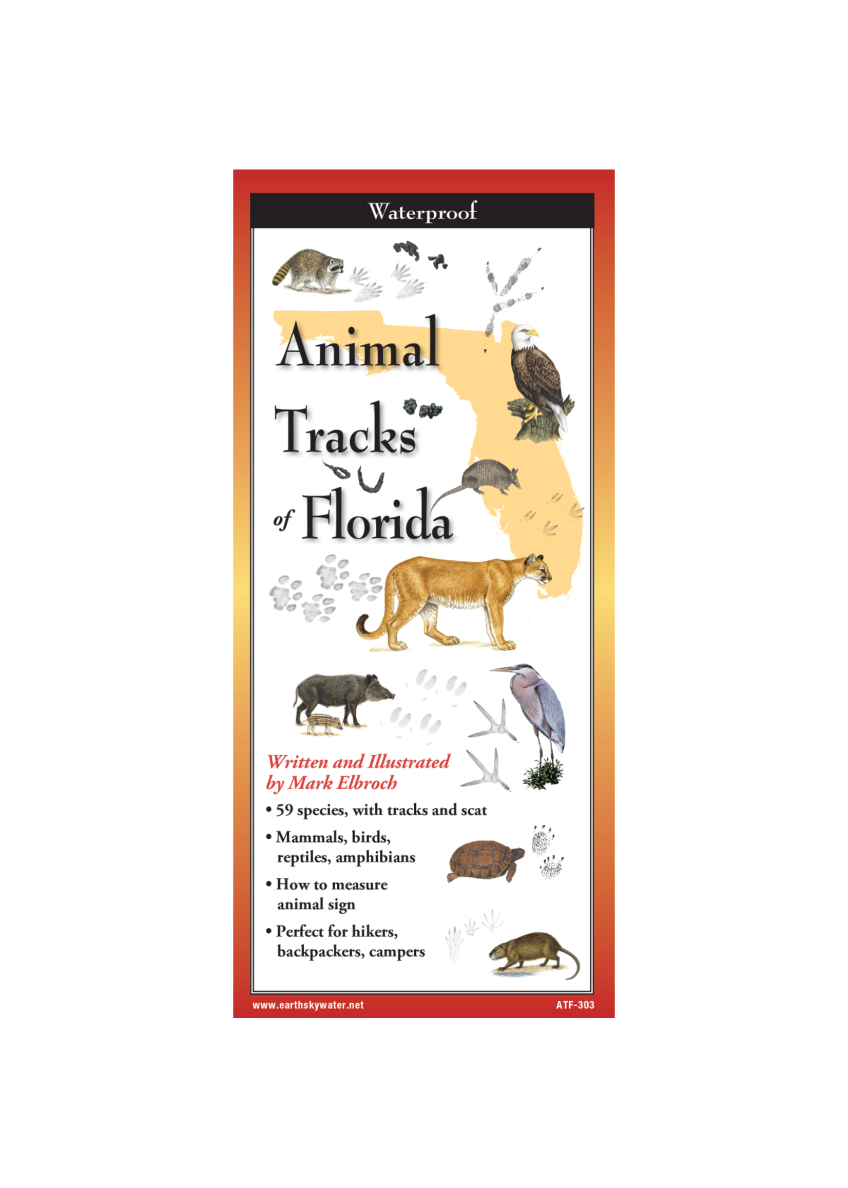Animals Tracks of Florida