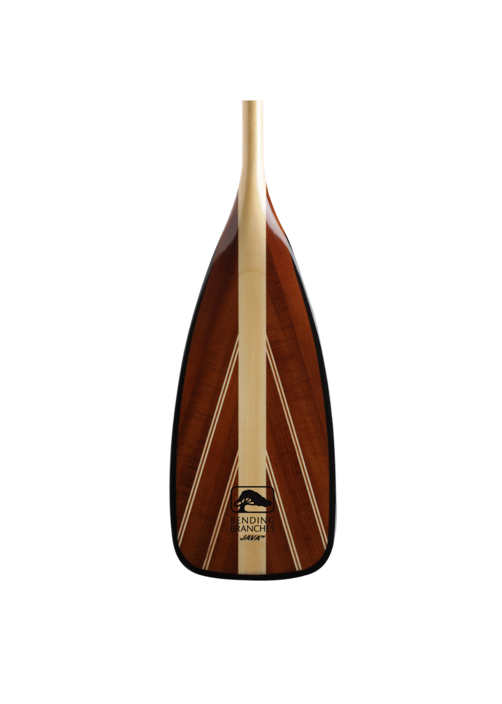 Bending Branches Java Straight 52 Inch W/ Glassed Blade