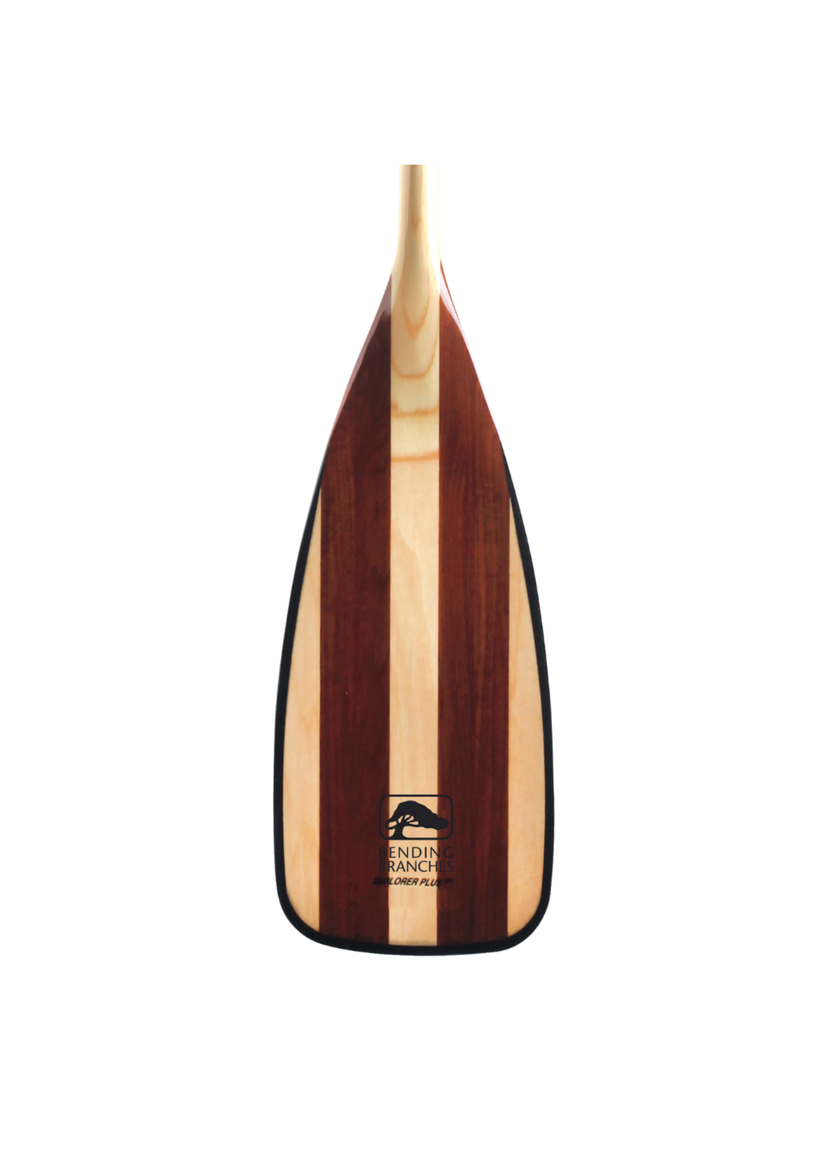 Explorer Plus 54 Inch W/ Glassed Blade