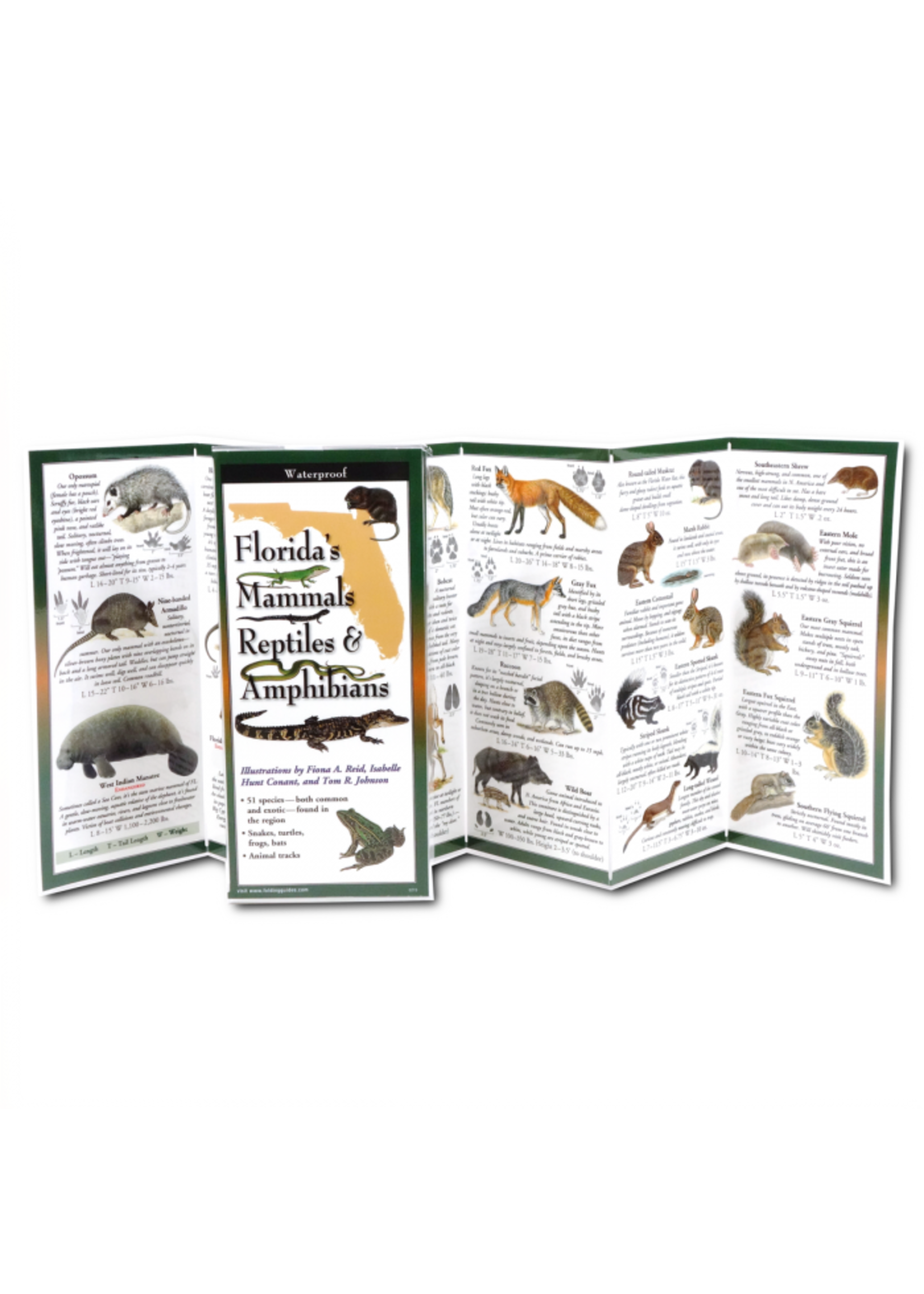 Earth Sky + Water Florida's Mammals, Reptiles, & Amphibians