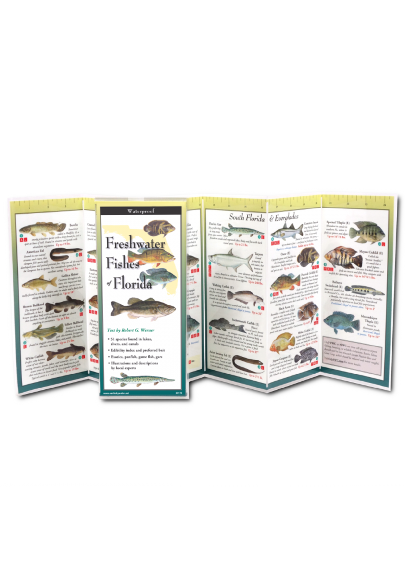 Earth Sky + Water Florida's Freshwater Fishes