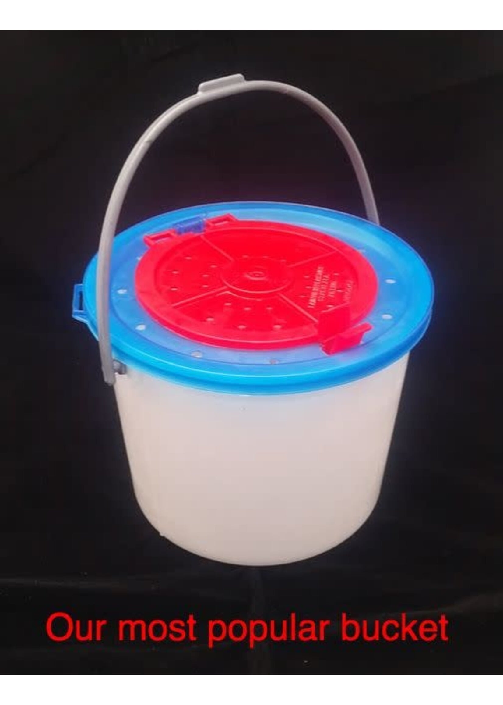 4 QT BAIT BUCKET w/ LID