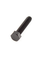 Hobie Cat SCREW 1/4-20 X 1-1/4 CAP SCREW