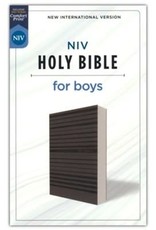 NIV Holy Bible for Boys