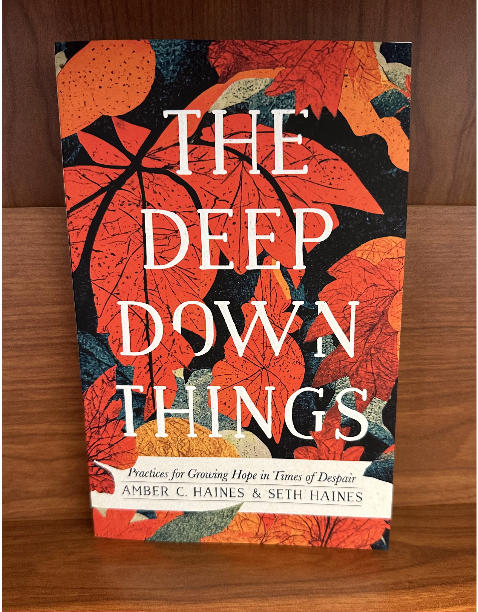 The Deep Down Things by Amber C & Seth Haines