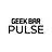 GEEK BAR PULSE X 25K