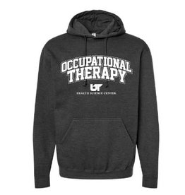 TULTEX OCCUPATIONAL THERAPY HOODIE - GRAPHITE