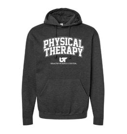 TULTEX (REG. $50) PHYSICAL THERAPY HOODIE - GRAPHITE