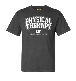 COMFORT COLORS COMFORT COLORS PHYSICAL THERAPY T-SHIRT GREY