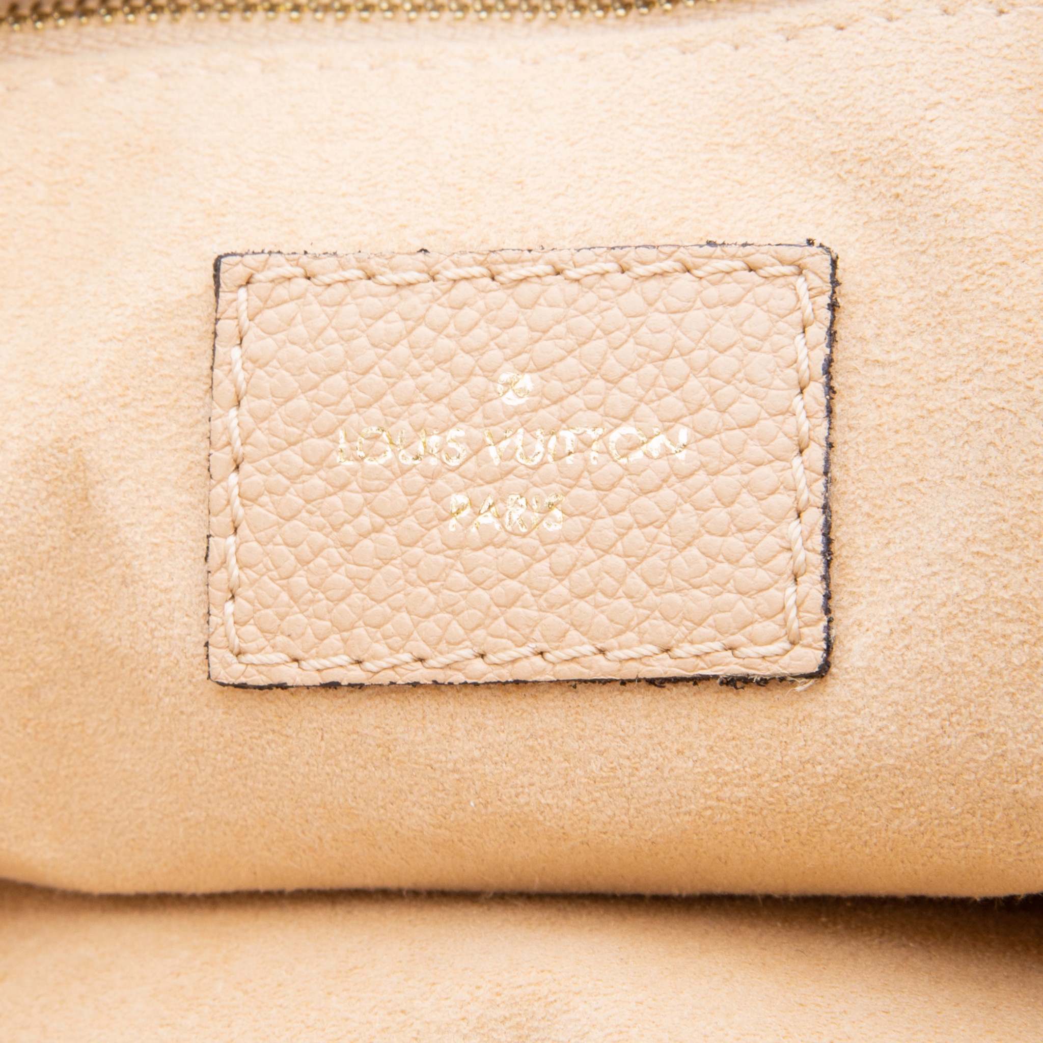 Louis Vuitton, Bags, Louis Vuitton Nude St Germain Pm M Emp Dune Bag