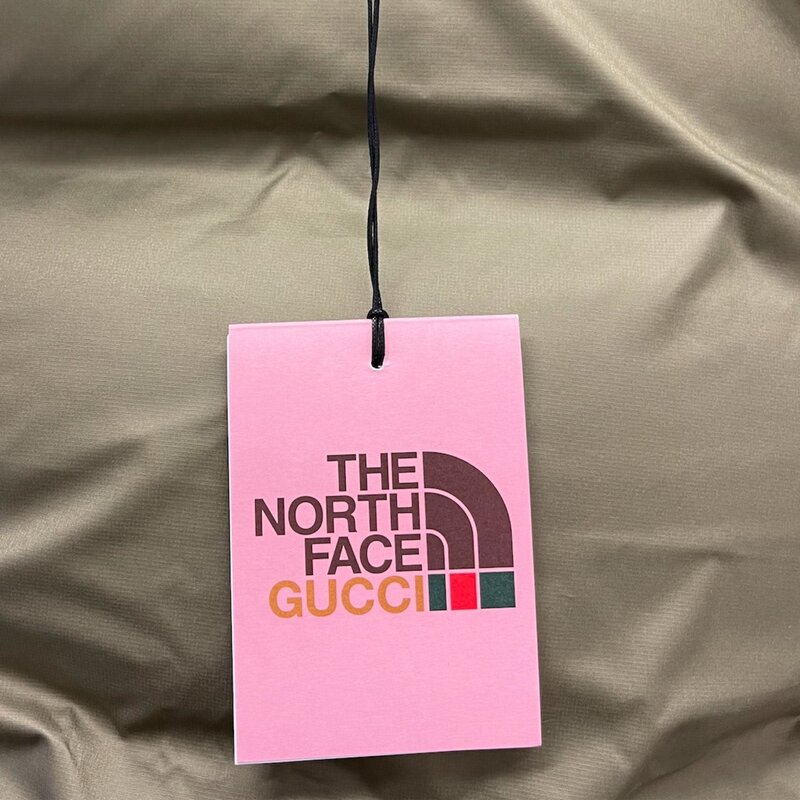 THE NORTH FACE X GUCCI THE NORTH FACE X GUCCI 2021 LOGO PRINTED PFFER VEST (MEDIUM)