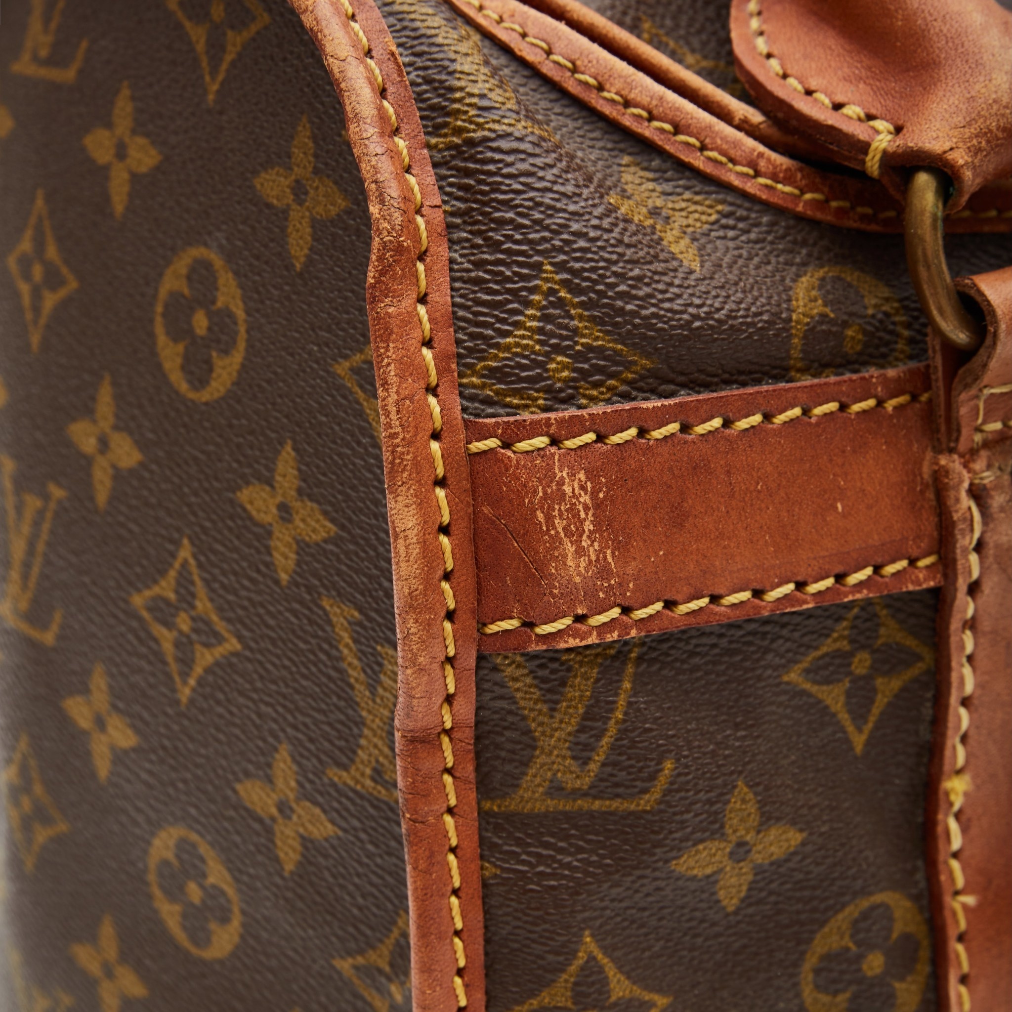 Louis Vuitton Dog Handbags & Bags for Women