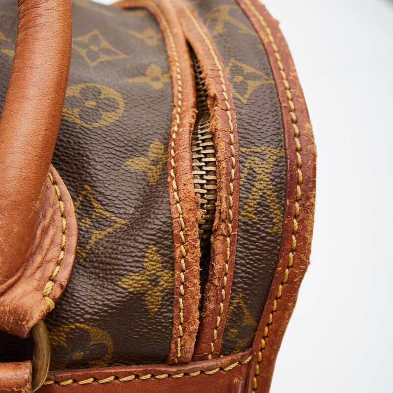 Vintage louis hot sale vuitton dog carrier