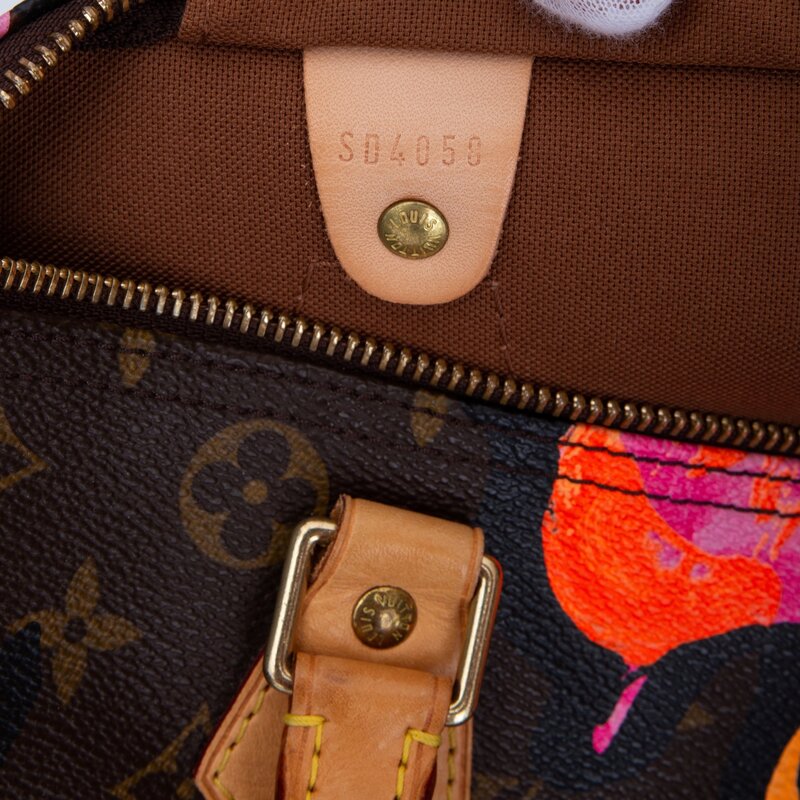LOUIS VUITTON LOUIS VUITTON MONOGRAM ROSES SPEEDY 30 HANDBAG (2008)