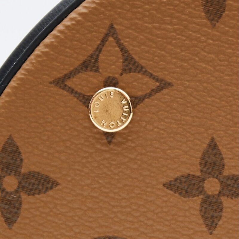 LOUIS VUITTON MONOGRAM REVERSE CANNES MM BAG (2020)