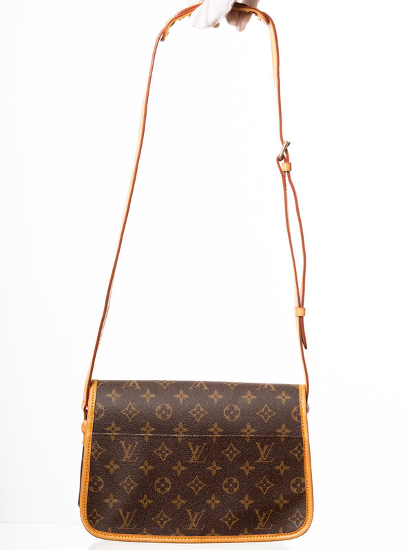 LOUIS VUITTON LOUIS VUITTON MONOGRAM SOLOGNE  BAG
