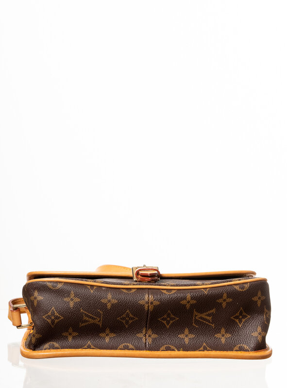 LOUIS VUITTON LOUIS VUITTON MONOGRAM SOLOGNE  BAG
