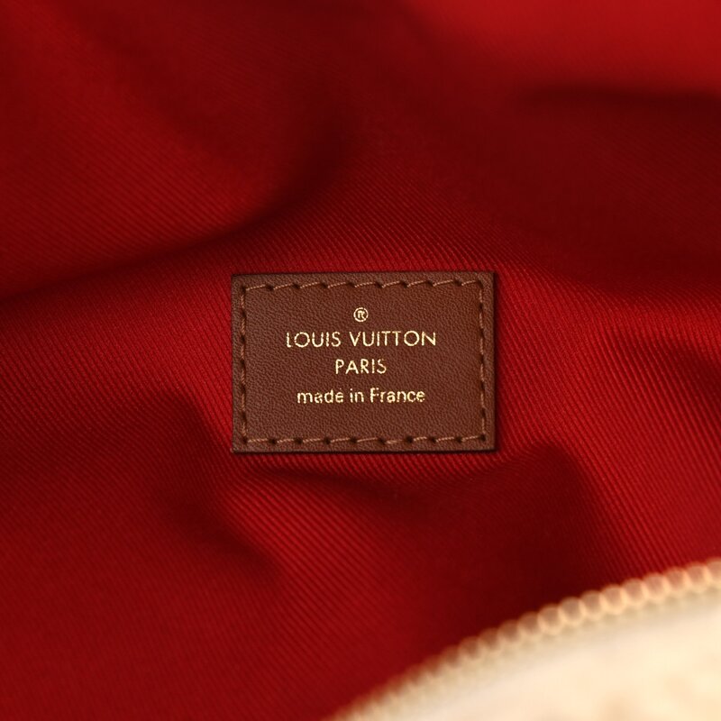 LOUIS VUITTON LOUIS VUITTON MONOGRAM NEUTRALS SHEARLING TEDDY BUM BAG