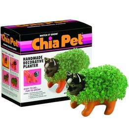 Chia Pet Kitten Decorative Planter